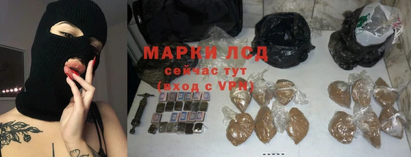 стаф Волосово