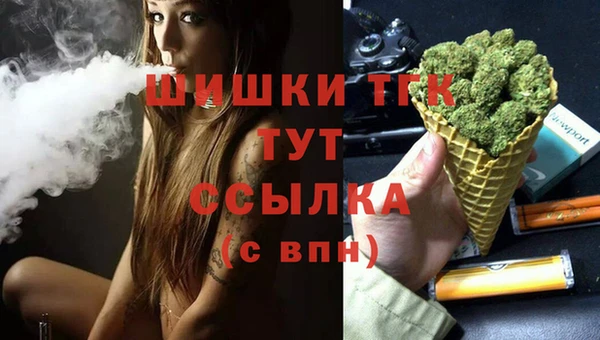 стаф Волосово