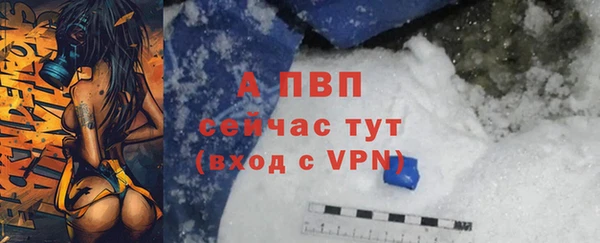 стаф Волосово