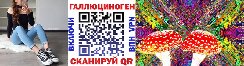 Псилоцибиновые грибы GOLDEN TEACHER  Глазов 