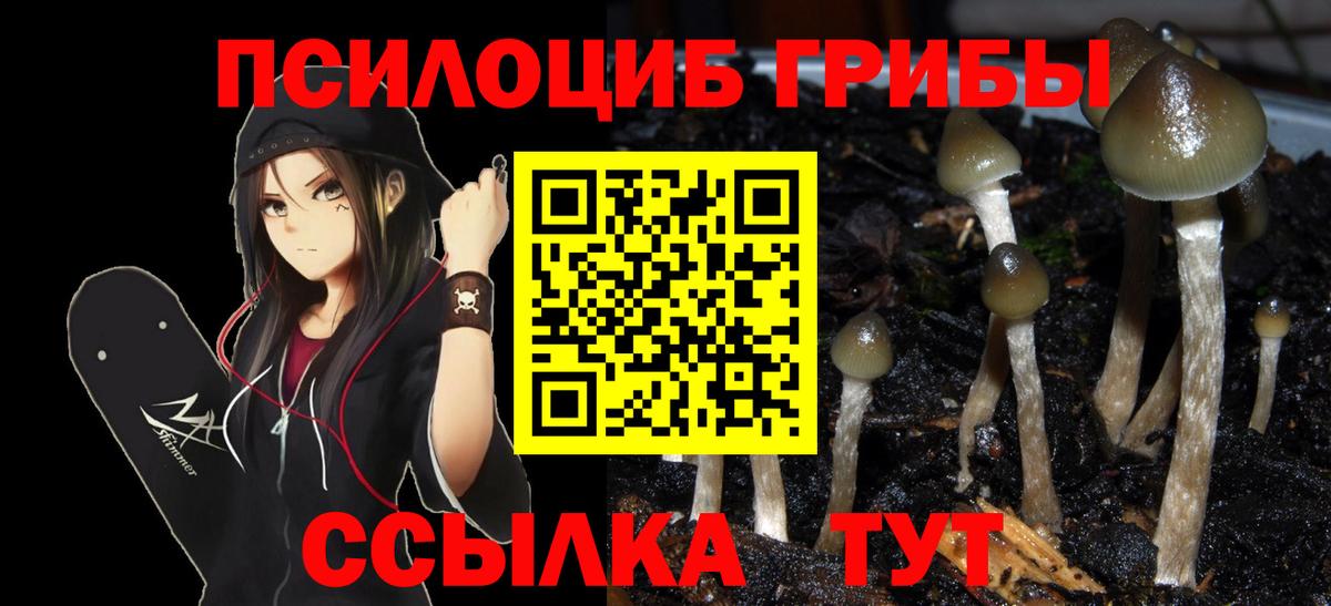 Глазов  Галлюциногенные грибы ЛСД  где можно купить наркотик  Вход с VPN 